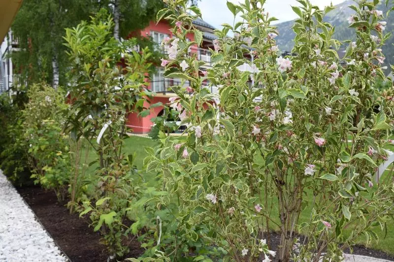 Fotos del hotel Das Hotel Eden:  18