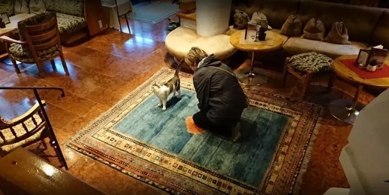 Fotos del hotel Romantik Zell Am See:  5