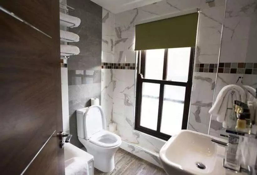 Fotos del hotel Cheshire Hotel Central London:  8