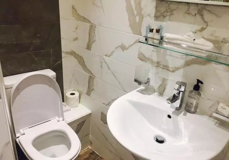 Fotos del hotel Cheshire Hotel Central London:  4