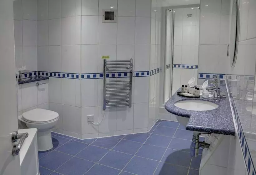 Fotos del hotel Corus Hyde Park:  6