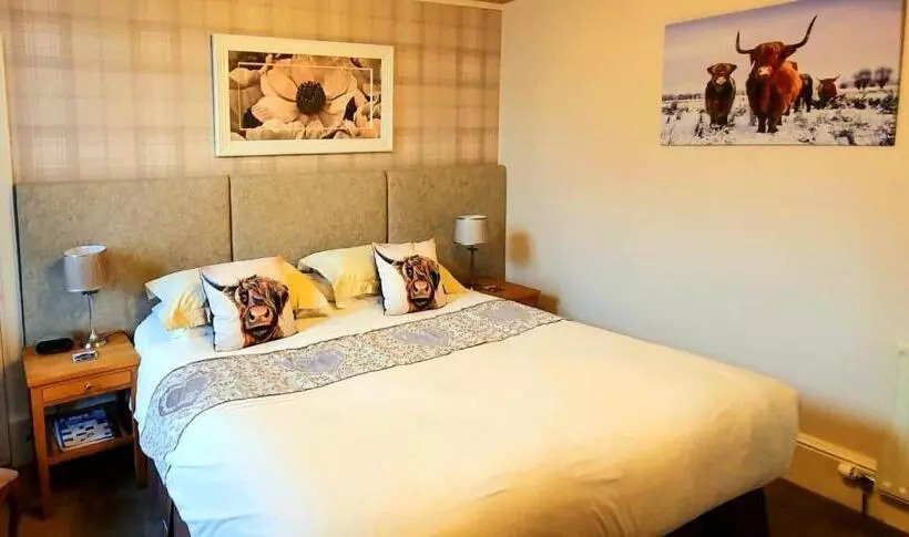 Fotos del hotel Moyness House:  19