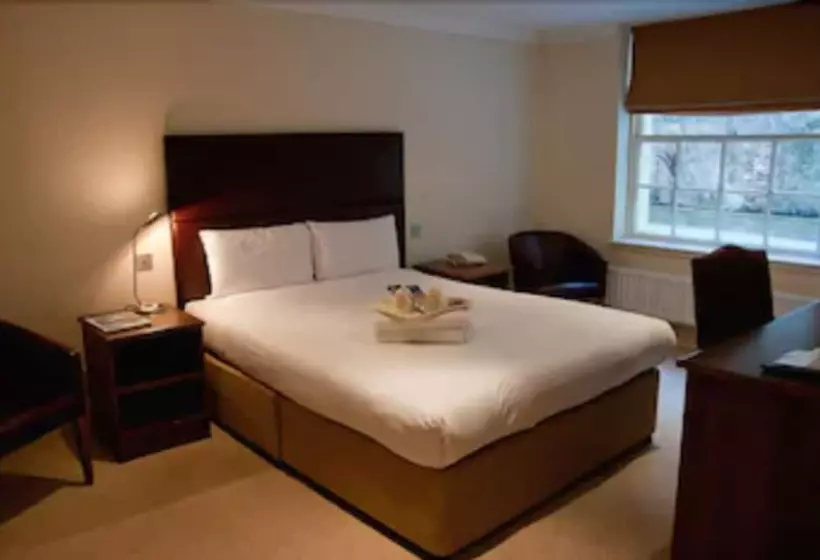 Fotos del hotel Kings:  9