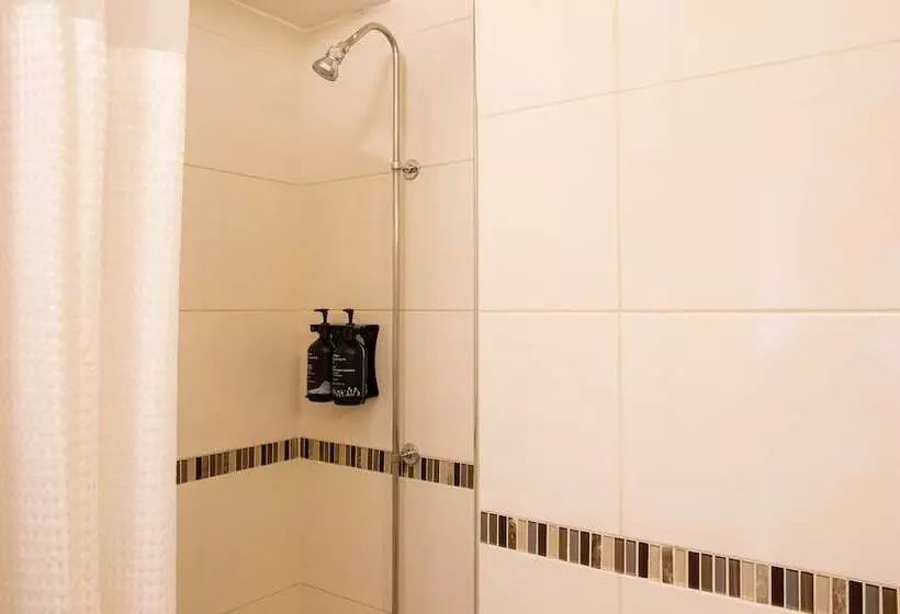 Fotos del hotel Tavistock:  22