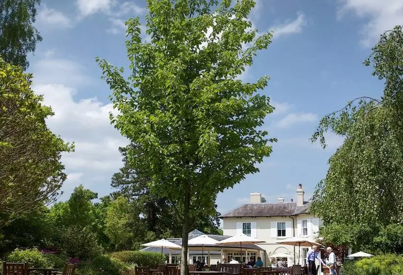 Fotos del hotel The Vineyard:  17