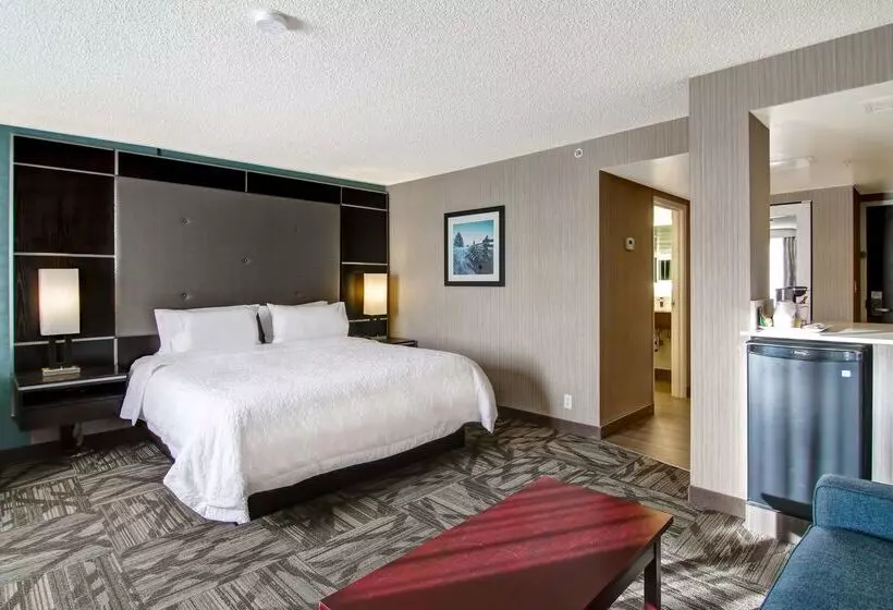 Fotos del hotel Hampton Inn & Suites By Hilton Calgary-airport:  14