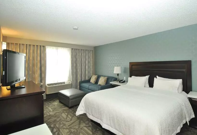 Fotos del hotel Hampton Inn & Suites By Hilton Calgary-airport:  6