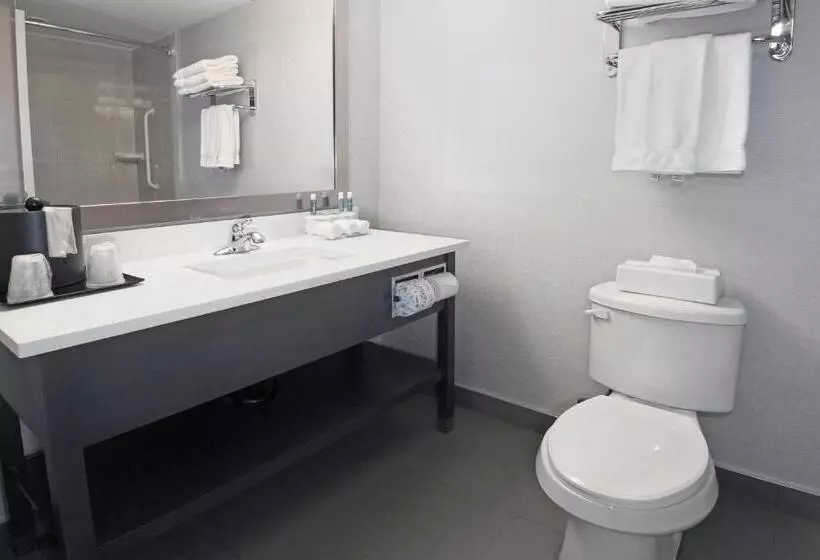 Fotos del hotel Holiday Inn Express And Suites Calgary, An Ihg:  4