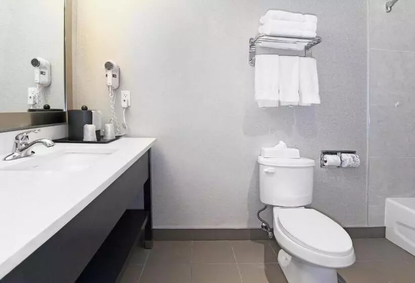 Fotos del hotel Holiday Inn Express And Suites Calgary, An Ihg:  13