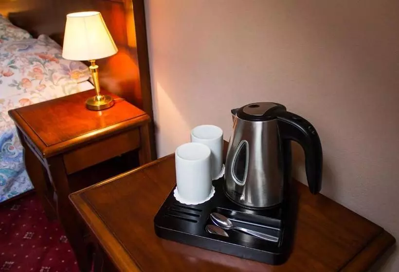 Fotos del hotel Dalimil:  15