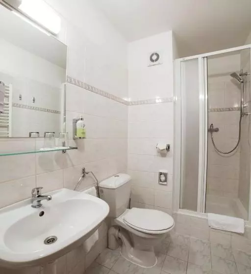 Fotos del hotel Dalimil:  7