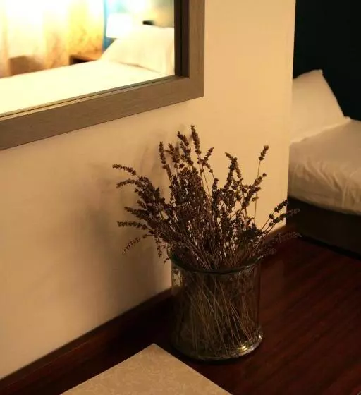 Fotos del hotel Adonis Ajaccio   Albion:  24