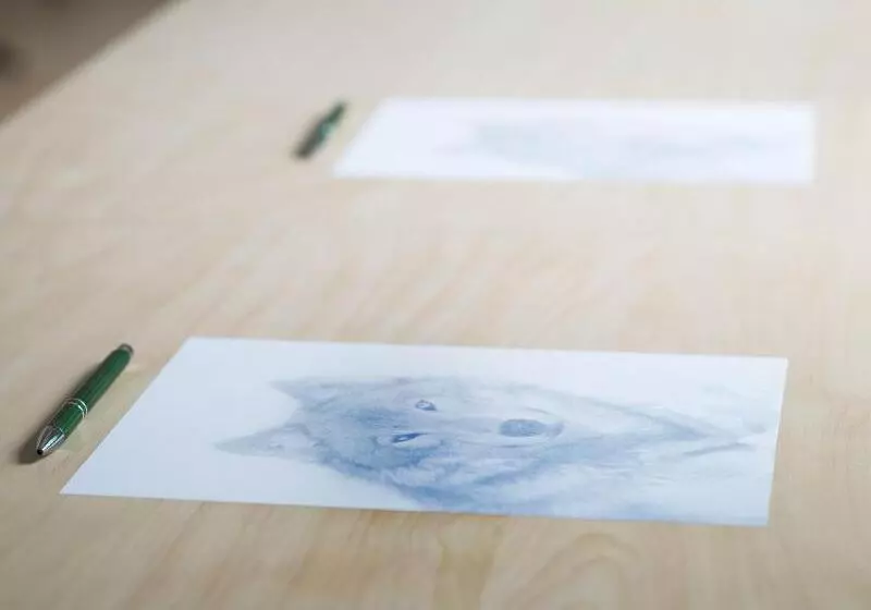 Fotos del hotel Hestia Hotel Susi:  6