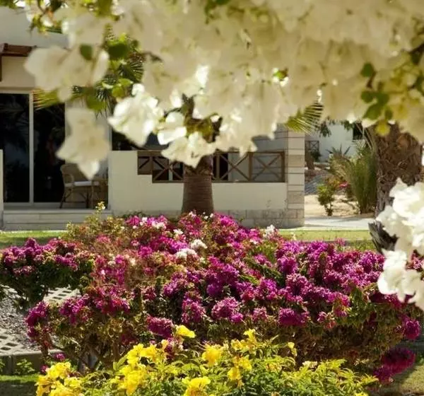 Fotos del hotel Hurghada Coral Beach:  21