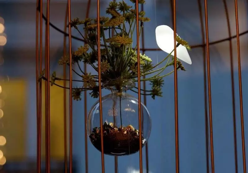 Fotos del hotel Hôtel Elysées Paris:  11