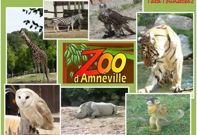 Fotos del hotel Mercure Metz Centre:  17