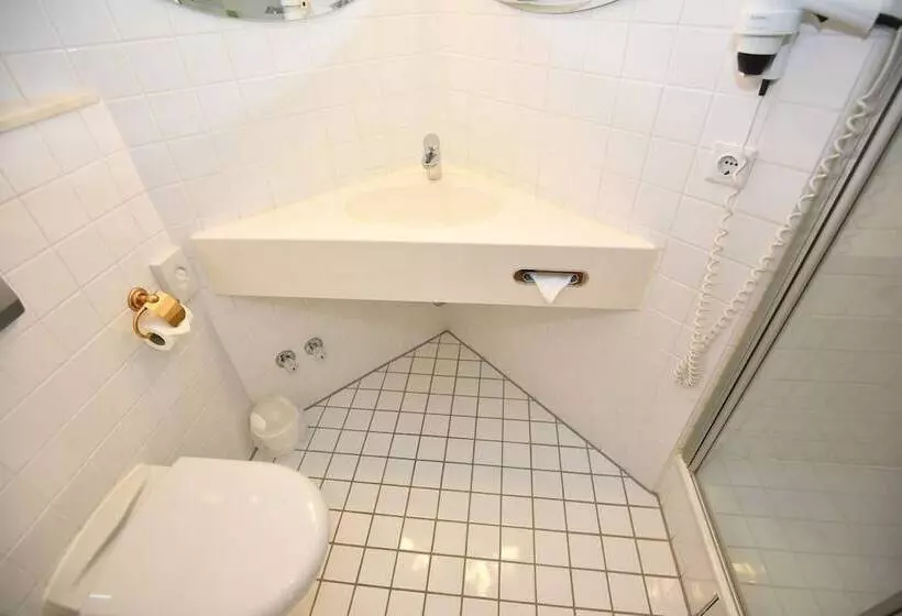 Fotos del hotel Robert Mayer:  4