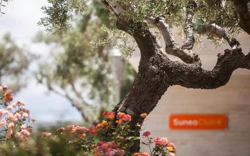 Fotos del hotel Althea Village Hotel:  8