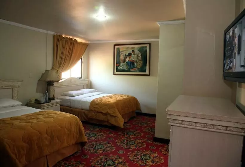 Fotos del hotel Honduras Plaza:  2