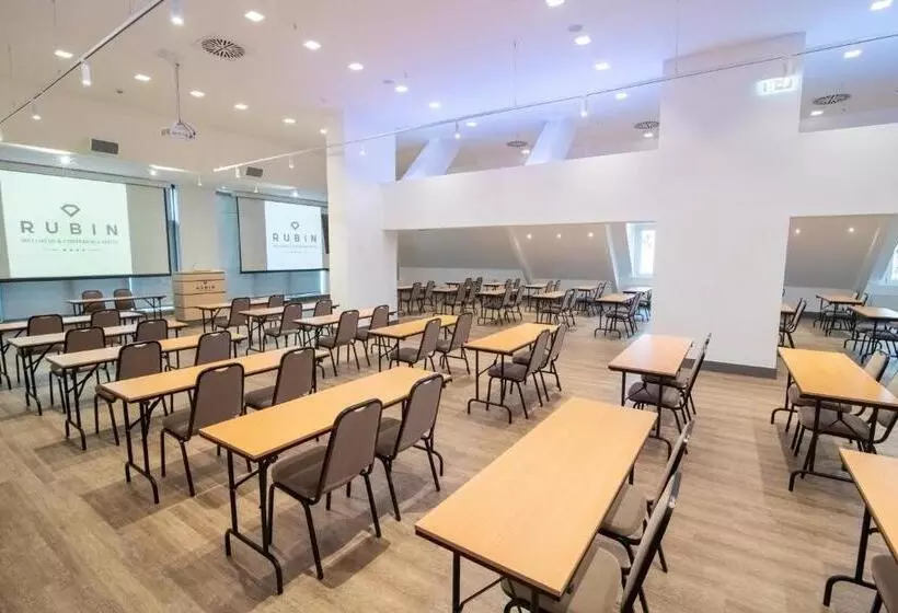 Fotos del hotel Rubin Wellness&conference:  8