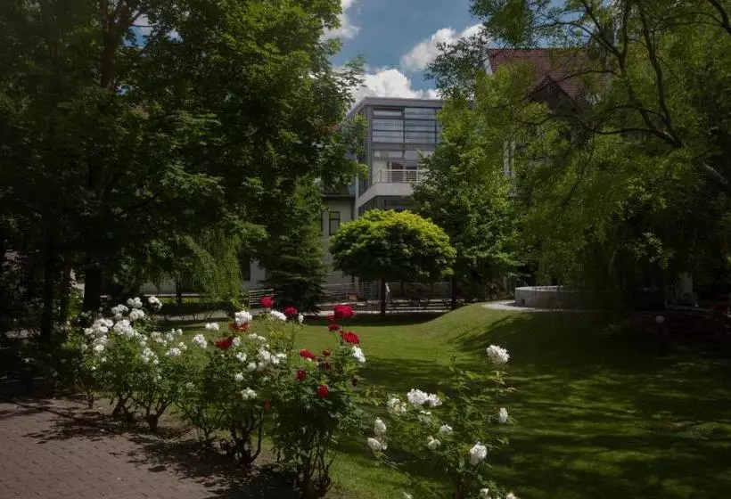 Fotos del hotel Rubin Wellness&conference:  5