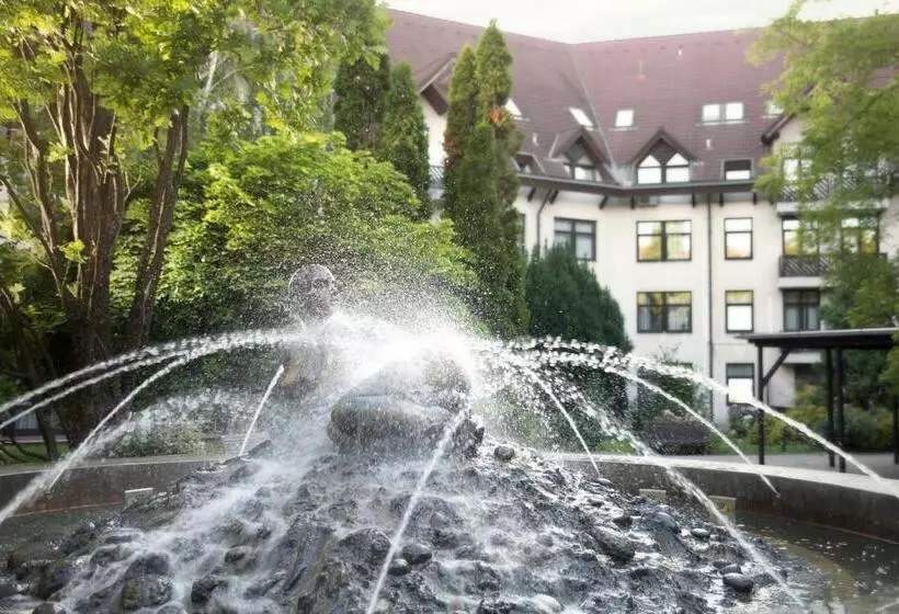 Fotos del hotel Rubin Wellness&conference:  9