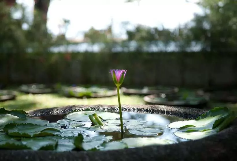 Fotos del hotel Tandjung Sari:  11