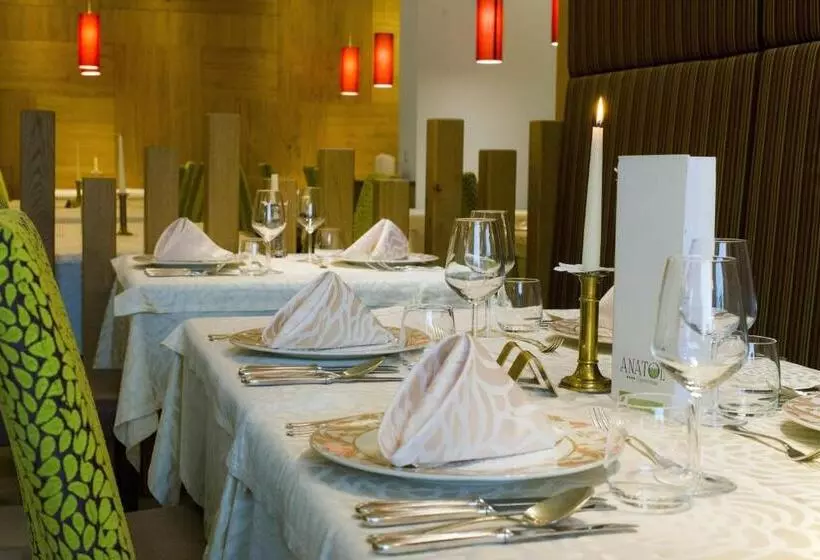 Fotos del hotel Anatol:  4