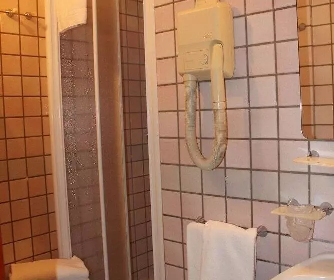 Fotos del hotel Aspromonte:  22