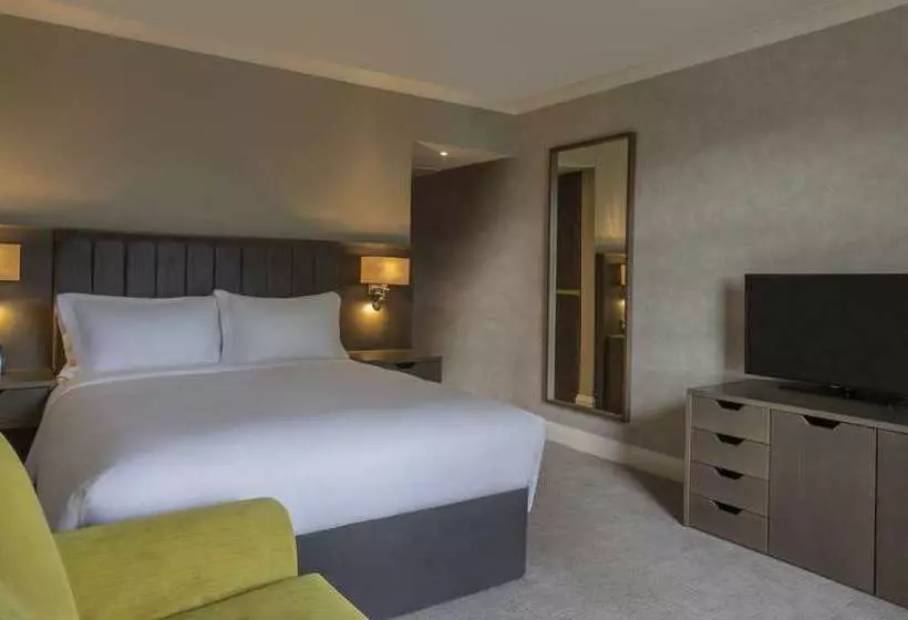 Fotos del hotel Hilton Dublin:  2