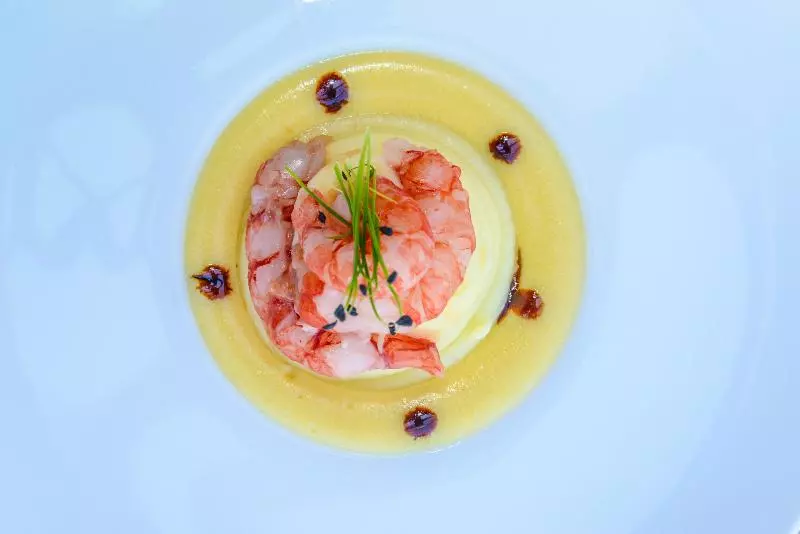 Fotos del hotel Oliveto:  19