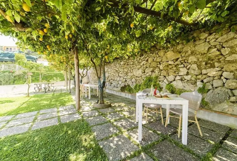 Fotos del hotel Al Pesce D'oro:  14