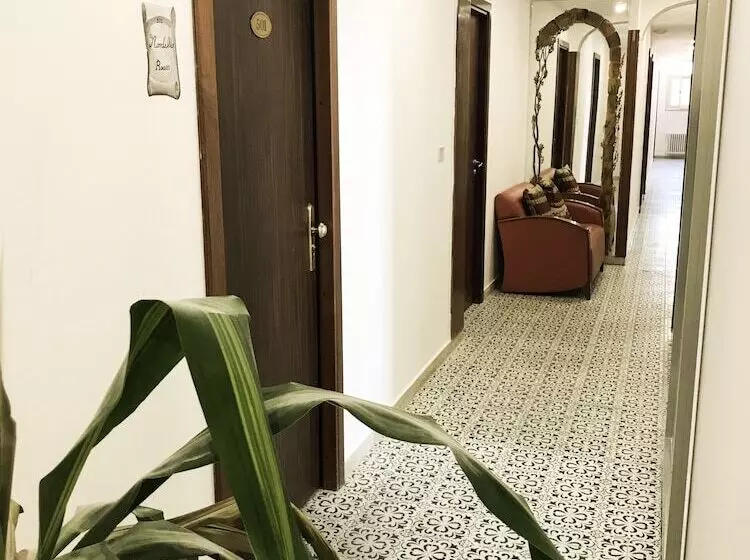 Fotos del hotel Elite:  16