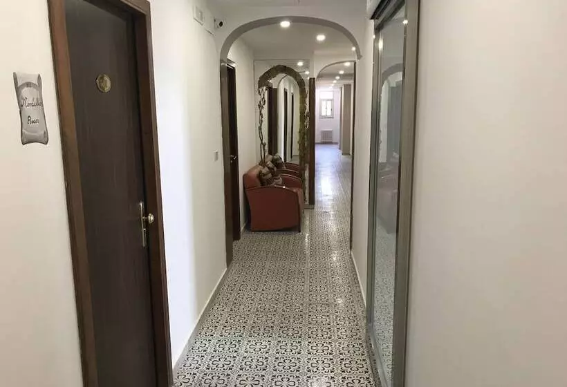 Fotos del hotel Elite:  14