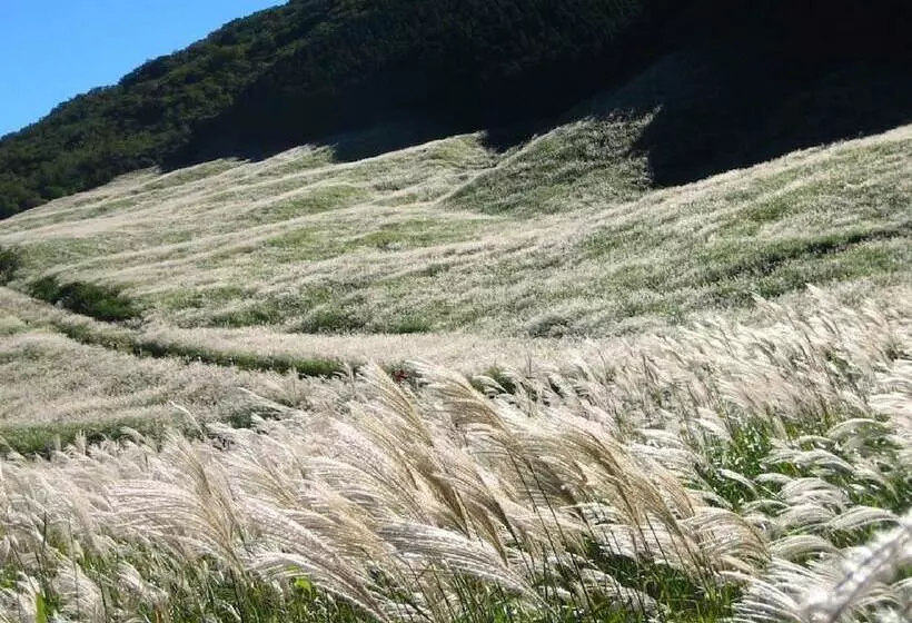 Fotos del hotel Ryuguden:  9