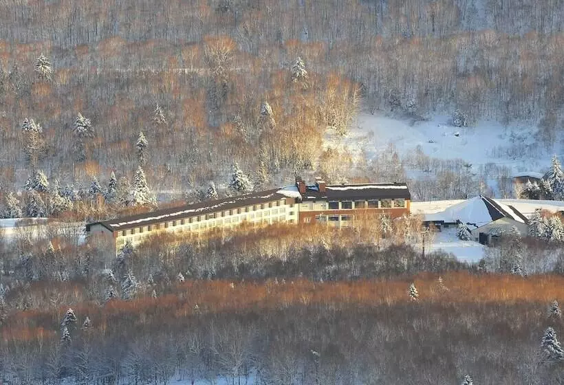 Fotos del hotel Shiga Kogen Prince:  15