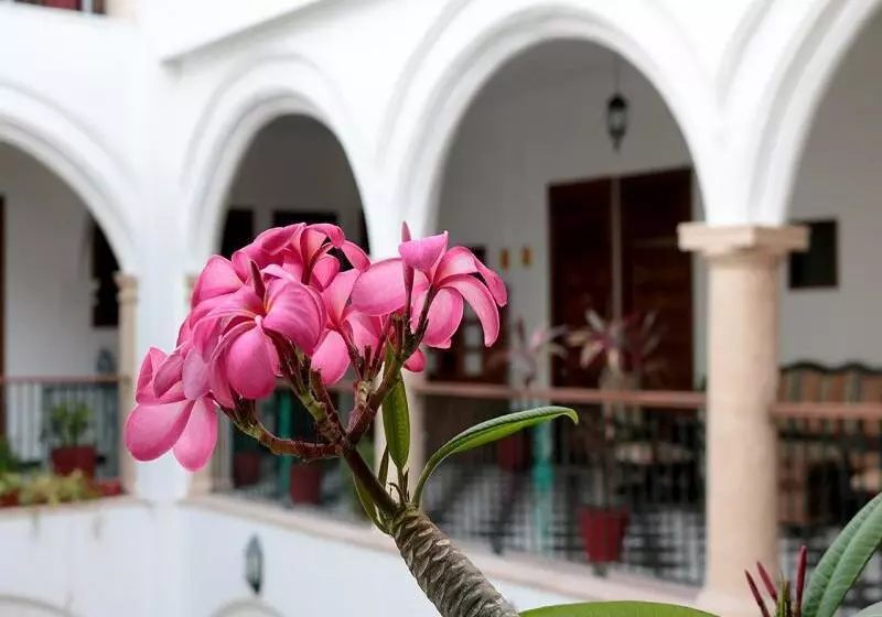 Fotos del hotel Mision Campeche:  16