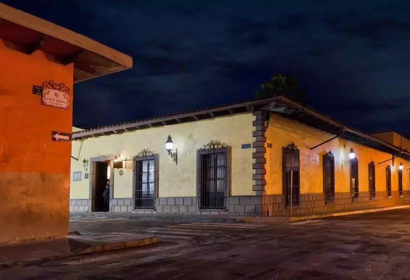 Fotos del hotel Posada Coatepec:  9