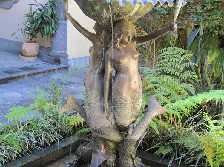 Fotos del hotel Posada Coatepec:  13