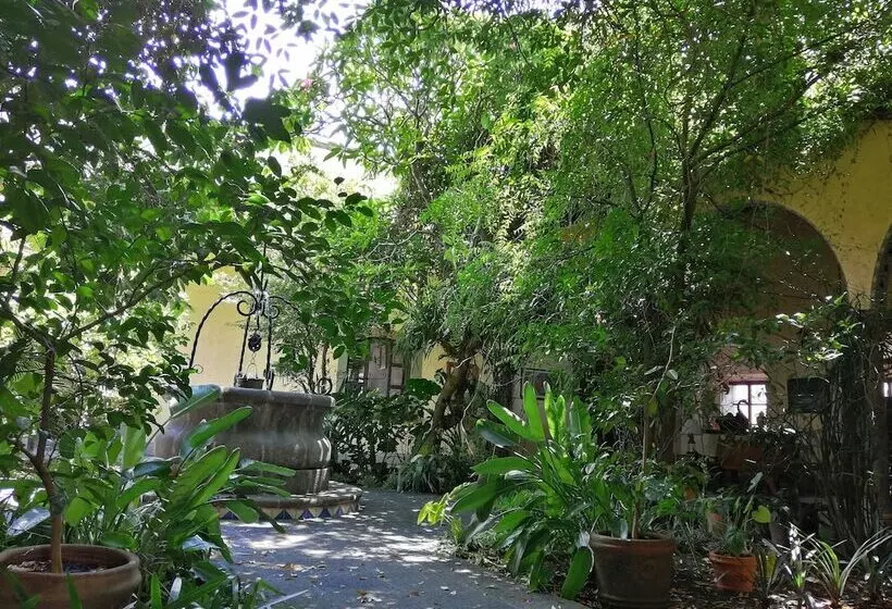 Fotos del hotel Posada Coatepec:  23