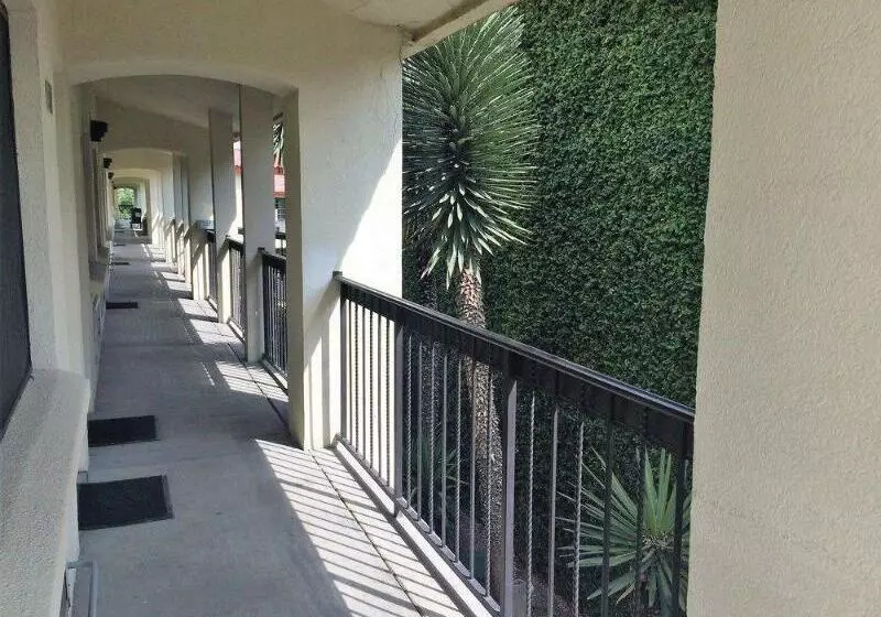 Fotos del hotel Quinta Dorada Hotel And Suites:  7