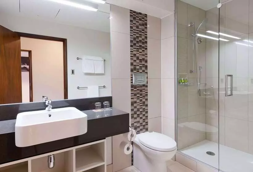 Fotos del hotel Scenic Hotel Franz Josef Glacier:  4