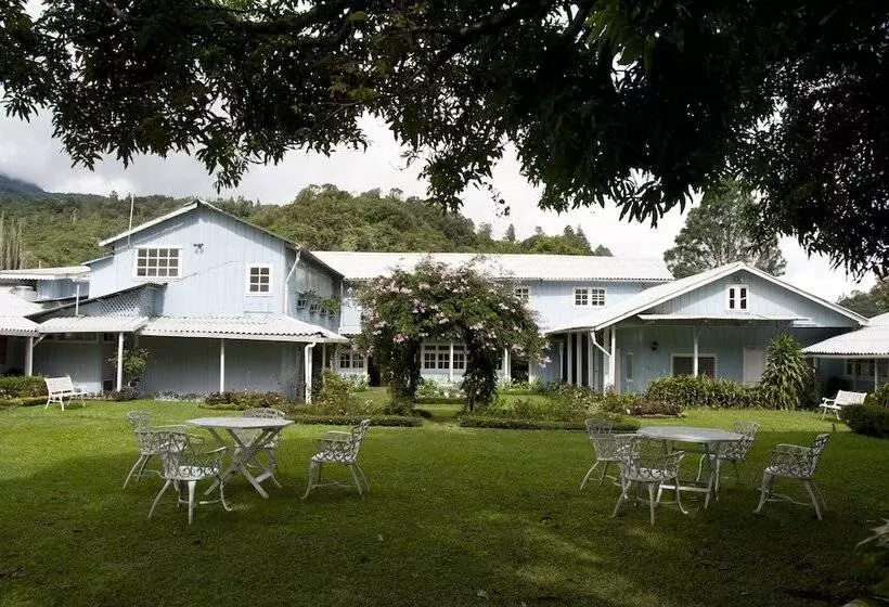 Fotos del hotel Panamonte:  15