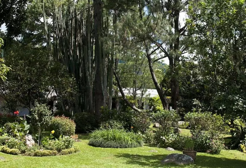 Fotos del hotel Panamonte:  8