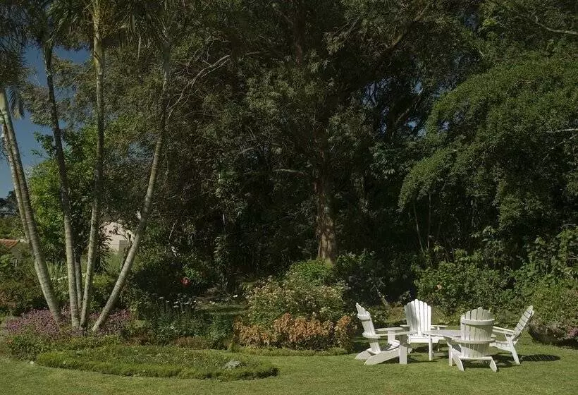 Fotos del hotel Panamonte:  14