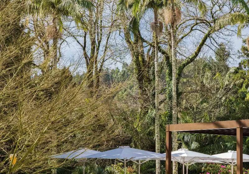 Fotos del hotel Terra Nostra Garden:  19