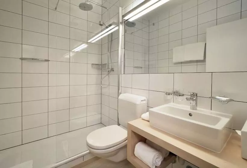 Fotos del hotel Des Alpes:  19