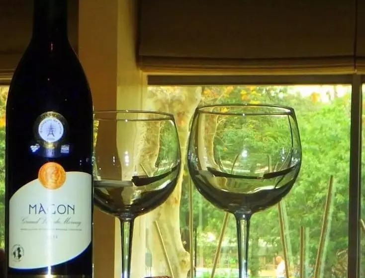 Fotos del hotel Ambassadeurs:  20