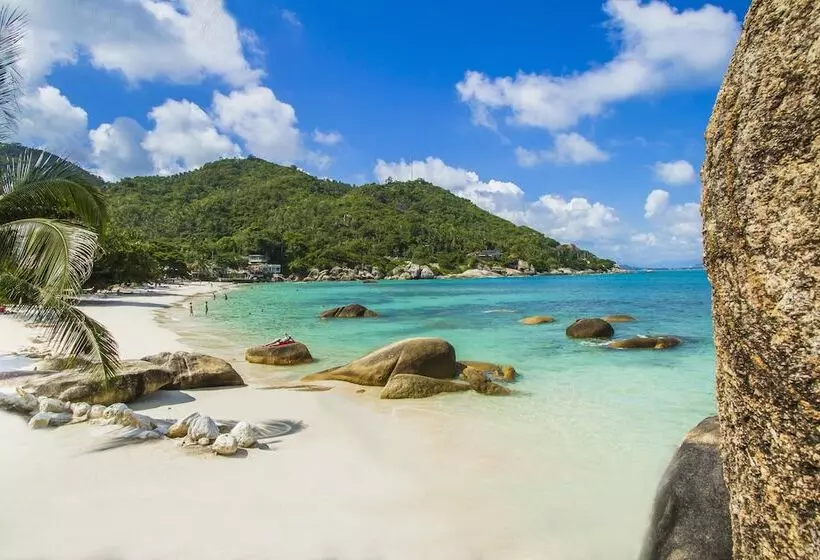 Fotos del hotel Crystal Bay Yacht Club:  23