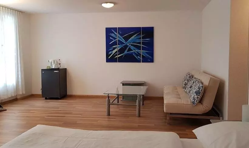 Fotos del hotel Spalenbrunnen Hotel & Restaurant Basel City Center:  25